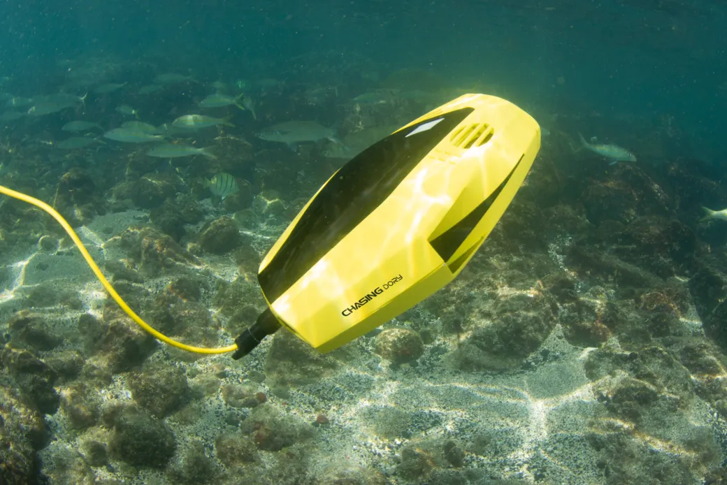 Gelbe CHASING Dory mit Kabel schwebt über flachem, sonnigem Seegrund mit Steinen und Fischen